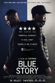 Imagen Blue Story