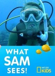 What Sam Sees What Sam Sees