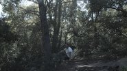 L'home de ferro