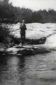 Brook Trout Fishing