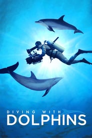 Image Diving with Dolphins