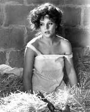 No tagged images availiable