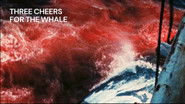 Three Cheers for the Whale