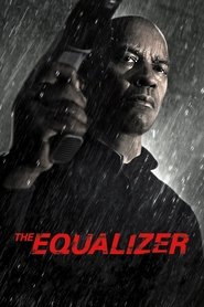 The Equalizer Array