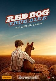 Red Dog: True Blue Online Movie Streaming