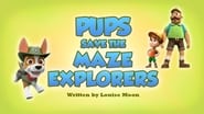 Pups Save the Maze Explorers