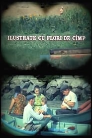 Se Ilustrate cu flori de câmp (1975) gratis streaming AV filmer