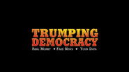 Trumping Democracy