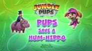 Jungle Pups: Pups Save a Hum-Hippo