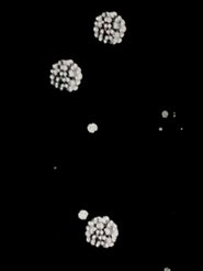 Inside The Atom (1948) Inside The Atom (1948)