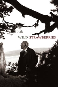 Wild Strawberries Netistä ilmaiseksi