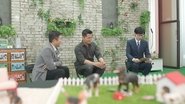 Episode 152
