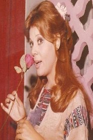 صفاء أبو السعود صفاء أبو السعود