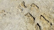 Ice Age Footprints