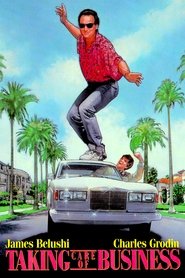 Watch Taking Care of Business (1990)