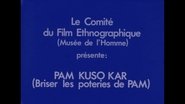 Pam Kuso Kar (Breaking Pam's Vases)