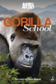 Gorilla School Gorilla School