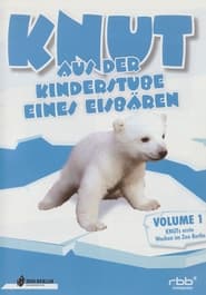 Knut - Aus der Kinderstube eines Eisbären (2007) Knut - Aus der Kinderstube eines Eisbären (2007)
