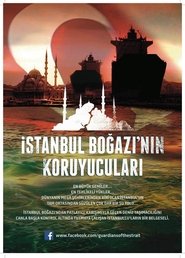 Guardians of the Strait) Guardians of the Strait (2017)