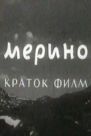 Merino