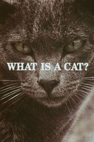 What Is a Cat? (1972) What Is a Cat? (1972)