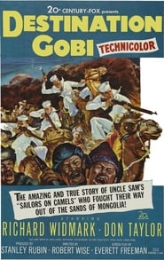 Affiche de Film Destination Gobi