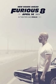 Furious 8 Juliste