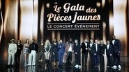 Le Gala des piÃ¨ces jaunes 2025 : Le concert Ã©vÃ©nement