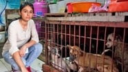 Vietnam's Dog-Snatchers