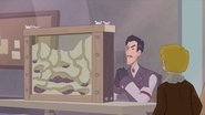 Bugs in the System