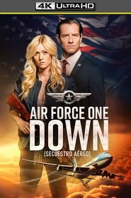 Imagen Air Force One Down