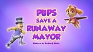 Pups Save a Runaway Mayor