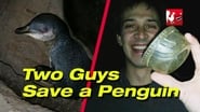 Two Guys Save a Penguin