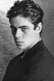 Benicio del Toro Benicio del Toro