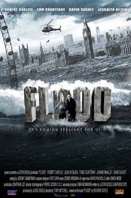 Photo de Flood affiche