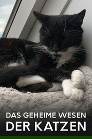 Das geheime Wesen der Katzen (2021) Das geheime Wesen der Katzen (2021)