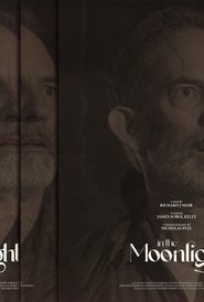 In The Moonlight (2023) In The Moonlight (2023)