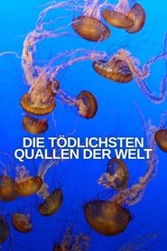 World’s Deadliest Jellyfish