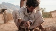 Ø°ÙØ¨
