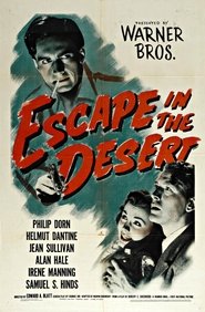 Póster Escape in the Desert