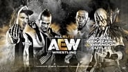 AEW Dark #25