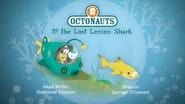 The Lost Lemon Shark