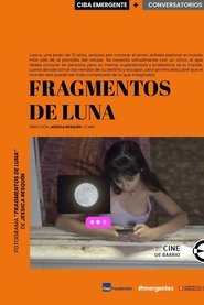Moon Fragments