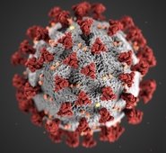 Coronavirus profile picture