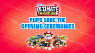 Ultimate Rescue: Pups Save the Opening Ceremonies