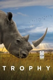 Trophy (2017) Trophy (2017)