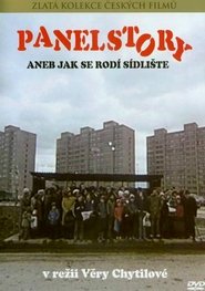 Photo de Panelstory - Or Birth of A Community affiche