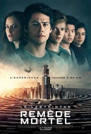Le Labyrinthe : Le Remède mortel en streaming