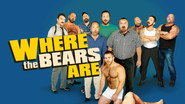 Where the Bears Are