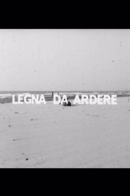 Legna da ardere